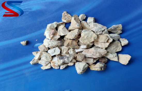 �X�\������_���X���ϏS�҈D